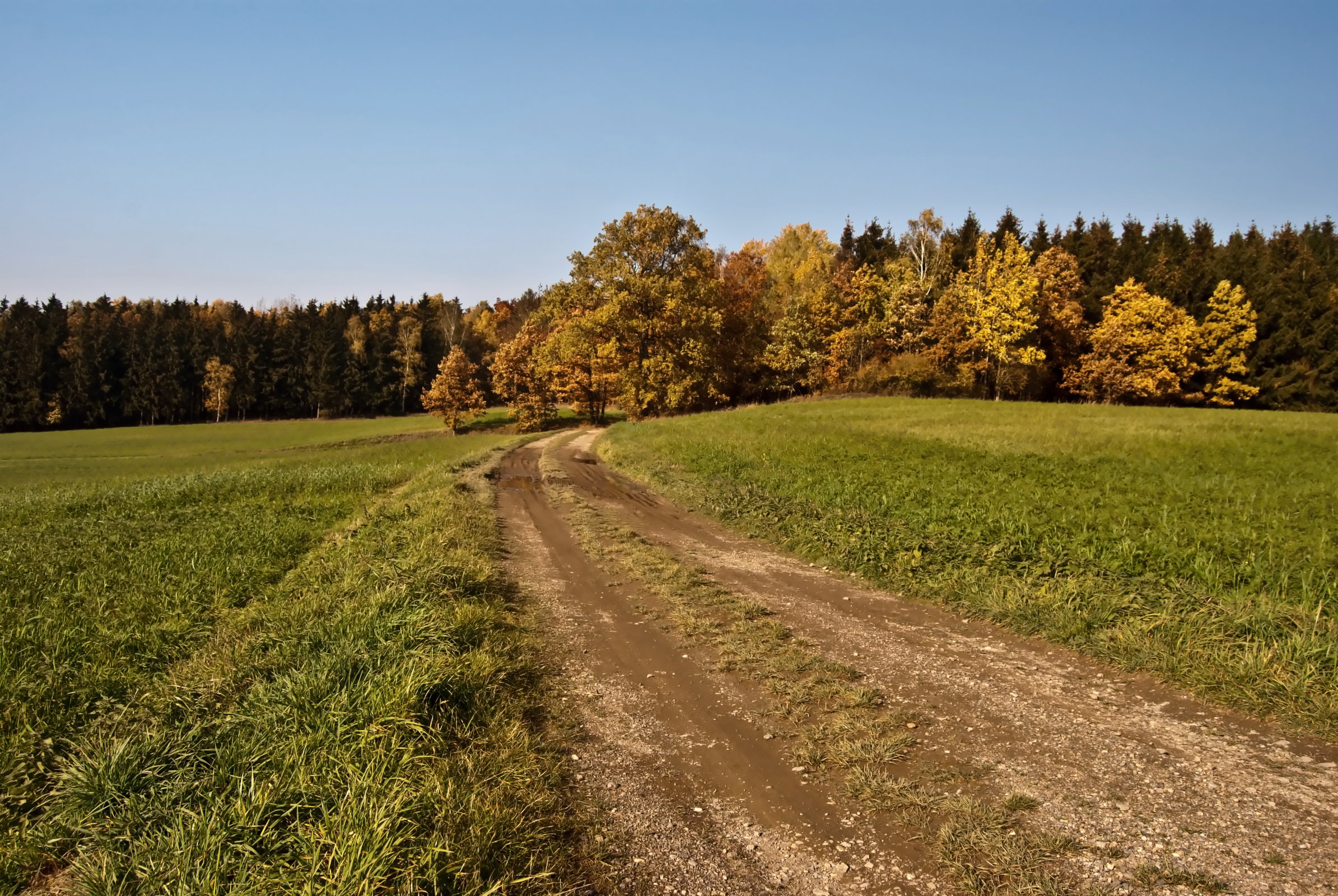 reiseziele-vogtland-ebike-mieten-343453070