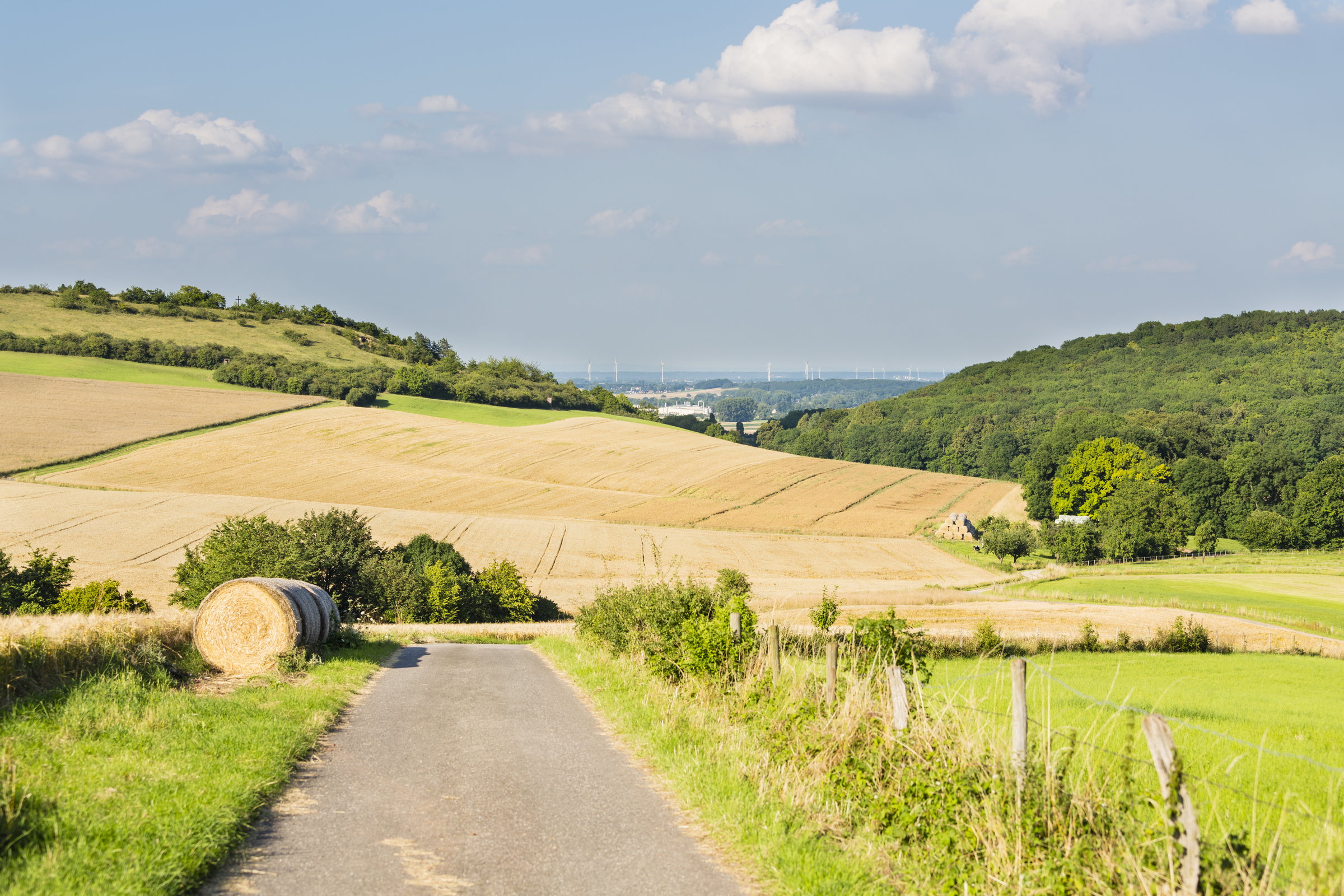 reiseziele-noerdliche-eifel-ebike-mieten-293380784