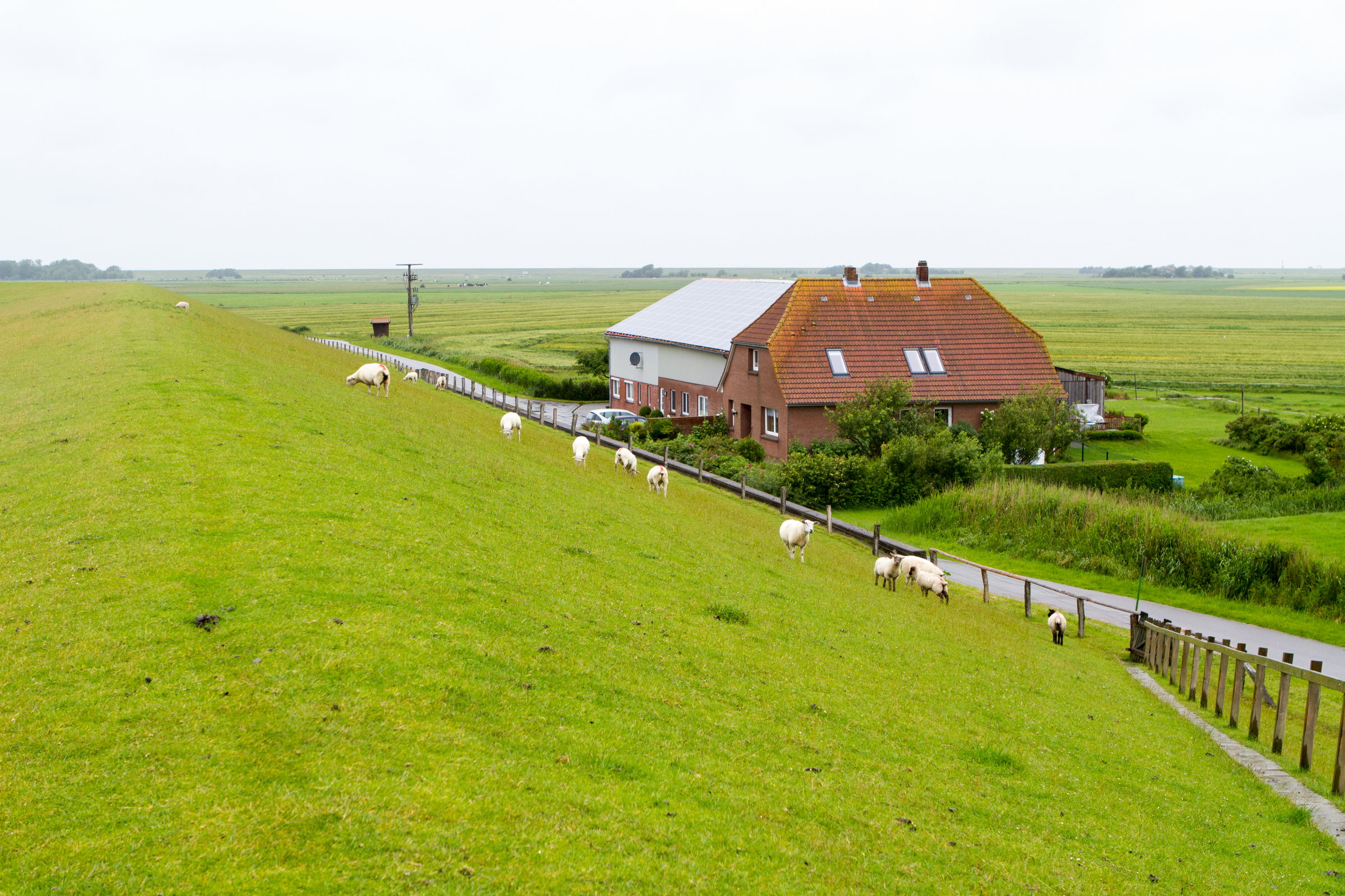 reiseziele-nordseeregion-dithmarschen-nordfriesland-ebike-mieten-412273642