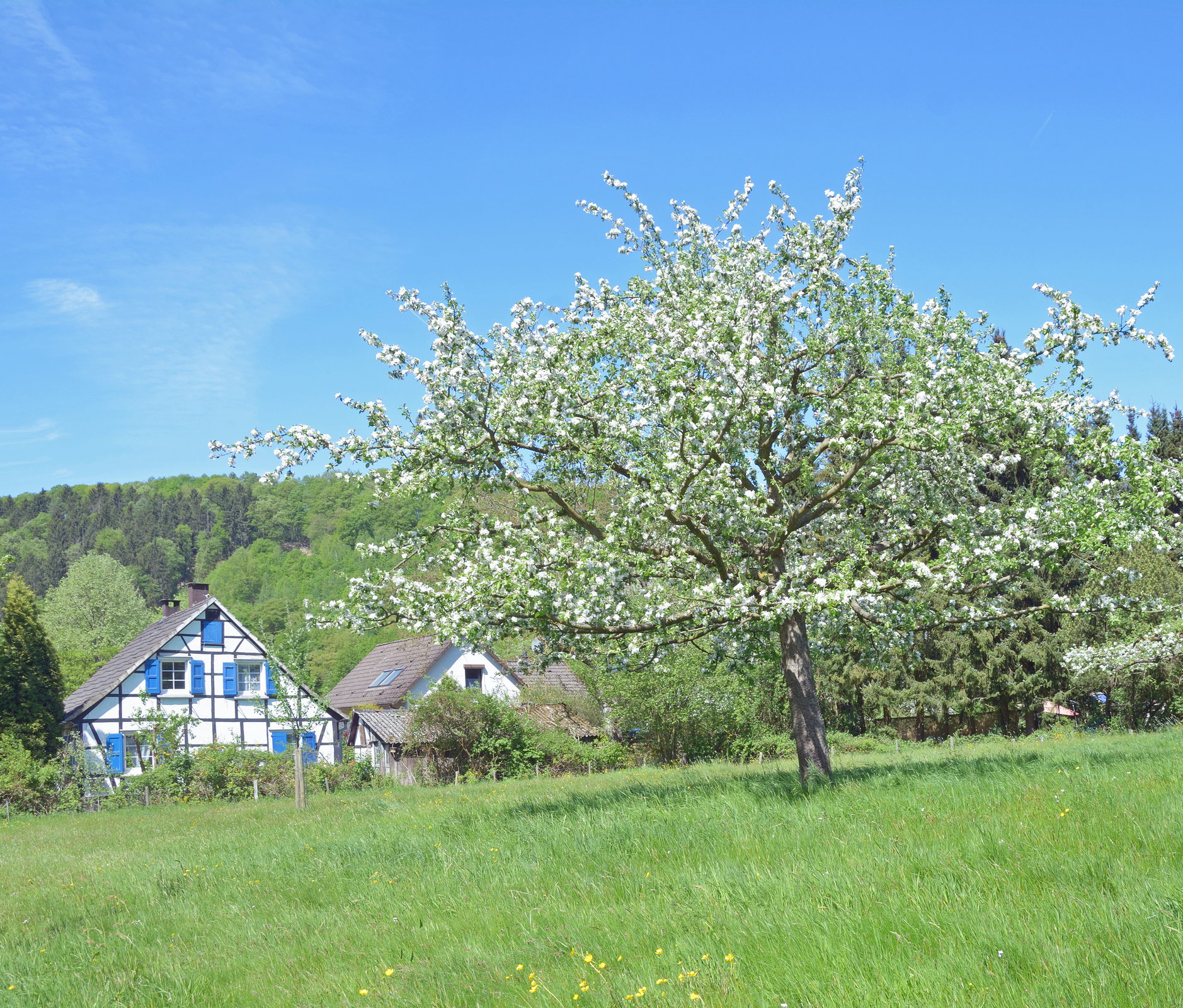 reiseziele-bergisches-land-ebike-mieten-421927600