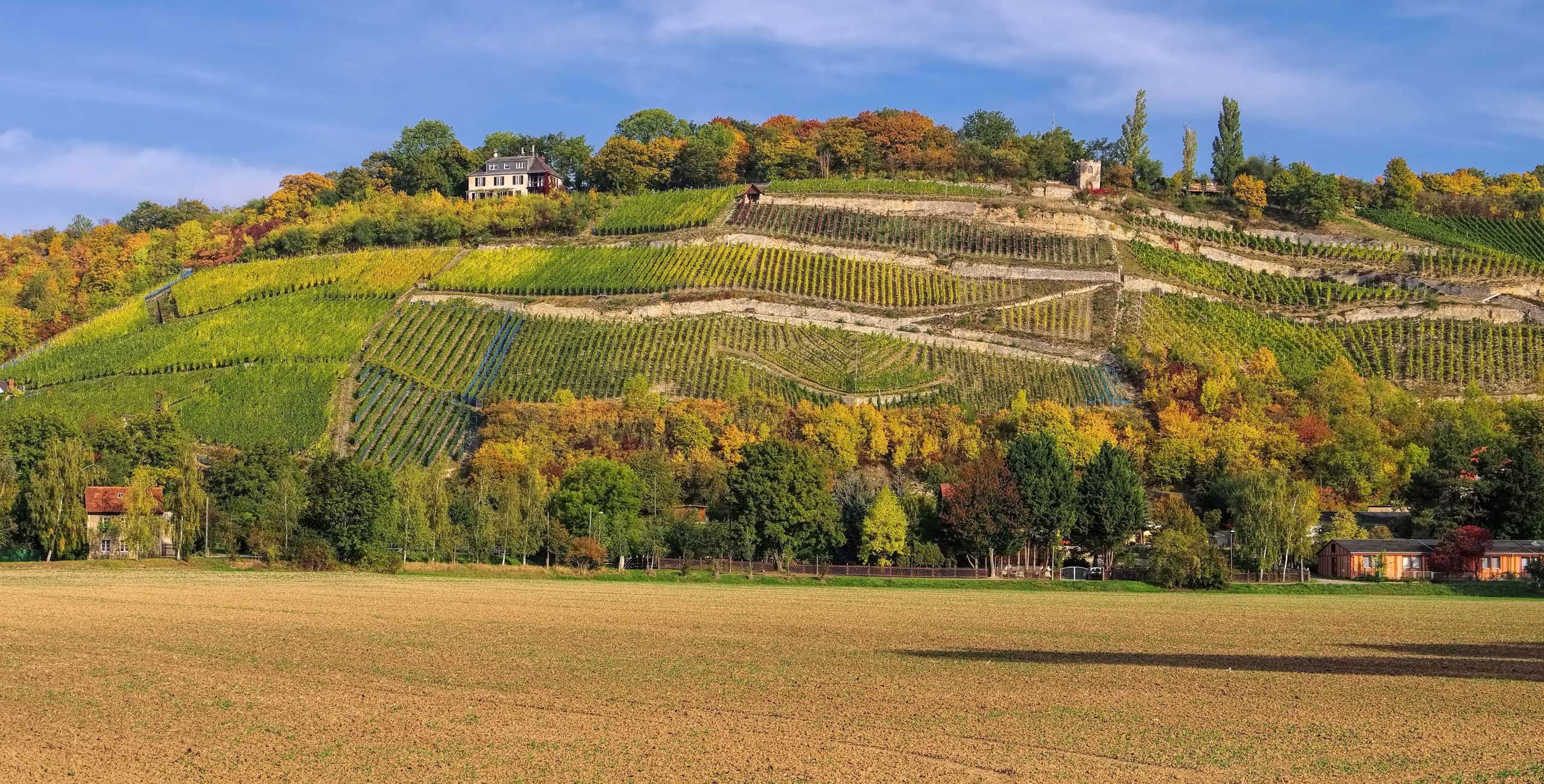 halle-saale-unstrut-ebike-mieten_header