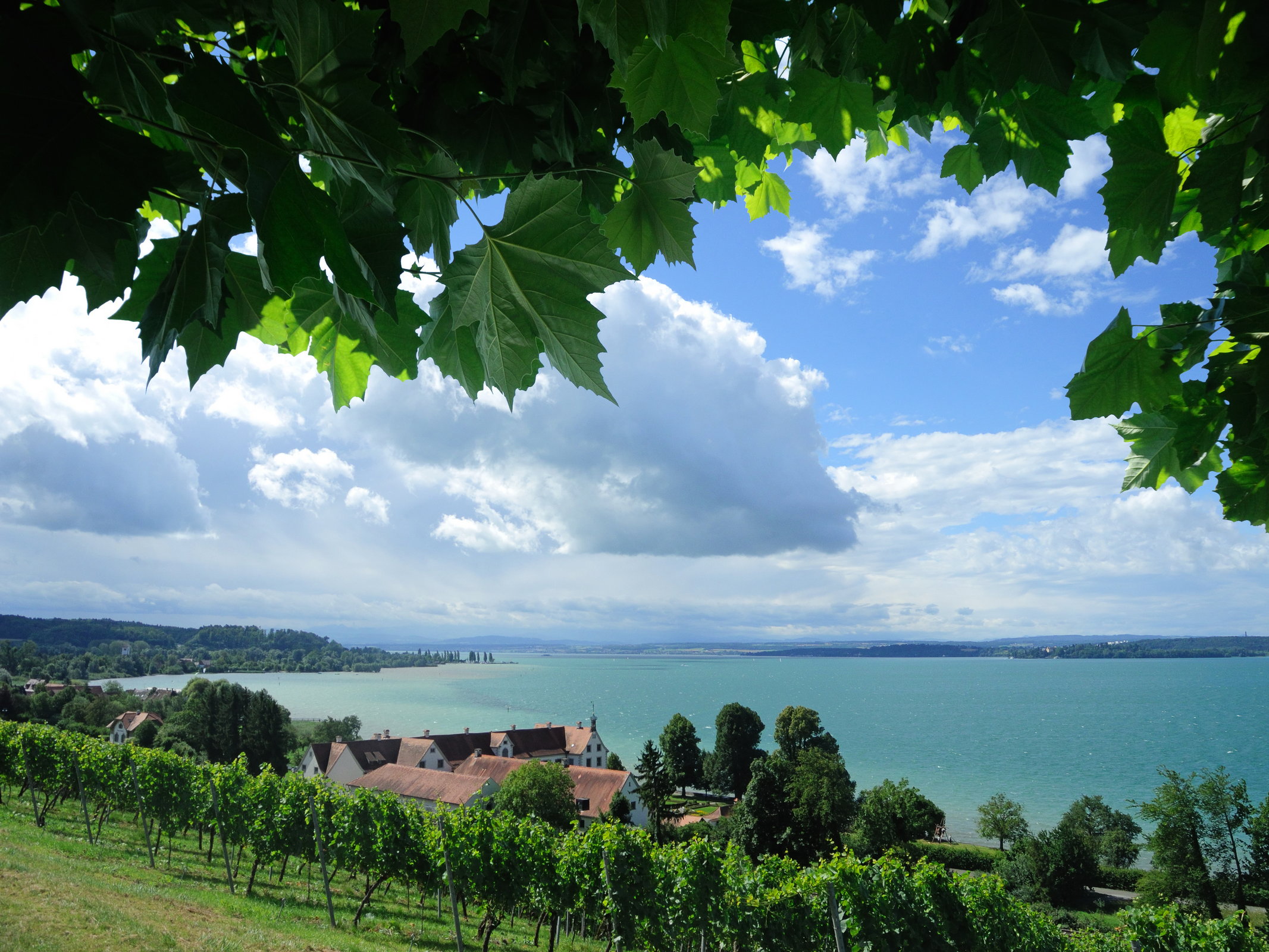 reiseziele-bodensee-ebike-mieten-107981213
