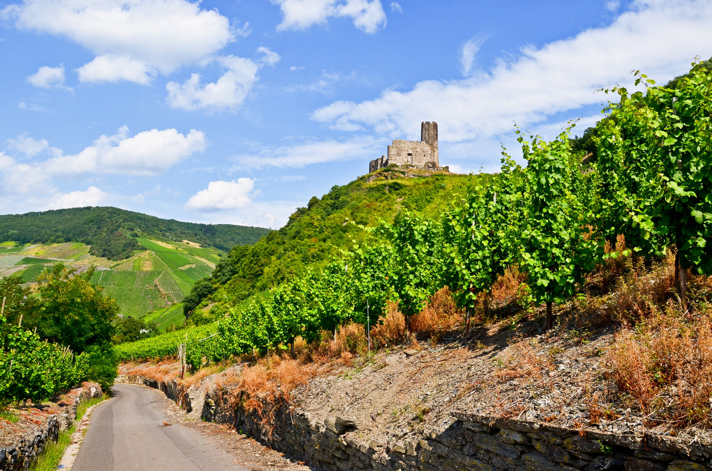 reiseziele-mosel-saar-region-ebike-mieten-322234088